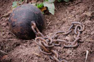 Original 1200 px/ 795 px