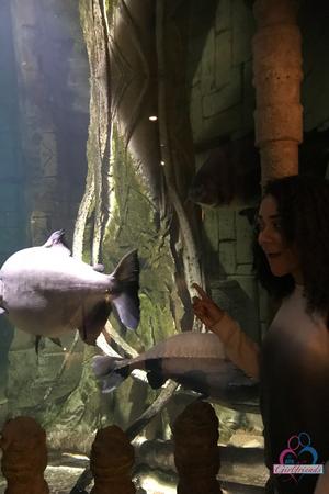 Original 2000 px/ 3000 px