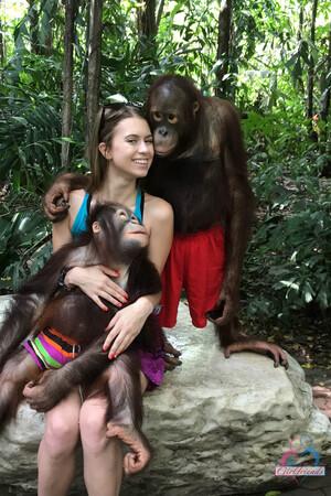 Original 2000 px/ 3000 px