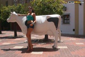 Original 1600 px/ 1067 px