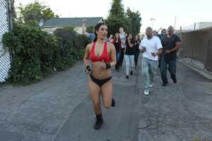 Original 2495 px/ 1663 px