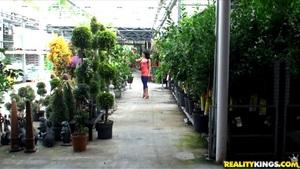 Original 3840 px/ 2160 px