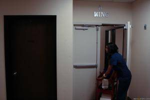 Original 2491 px/ 1663 px