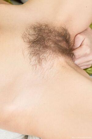 Original 854 px/ 1280 px