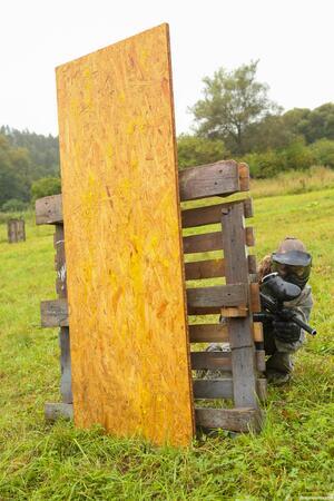 Original 2667 px/ 4000 px