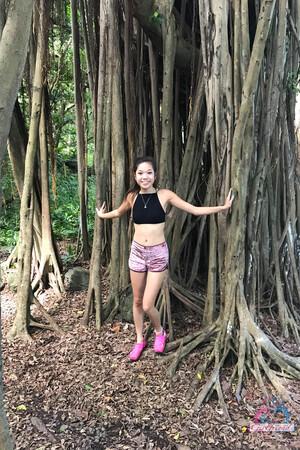 Original 2000 px/ 3000 px