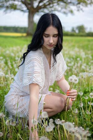 Original 3648 px/ 5472 px