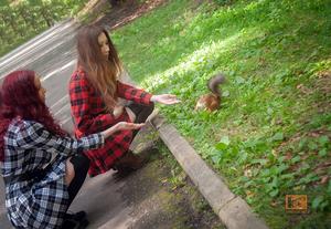 Original 2500 px/ 1728 px