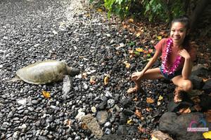 Original 3000 px/ 2000 px