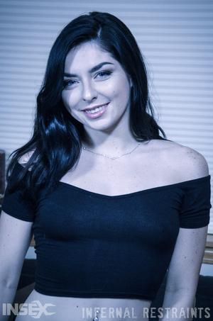 Original 795 px/ 1200 px