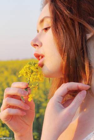 Original 3456 px/ 5168 px