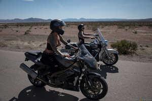 Original 2491 px/ 1663 px