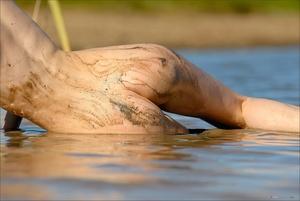 Original 3000 px/ 2008 px