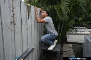 Original 2500 px/ 1670 px