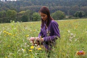 Original 2464 px/ 1643 px