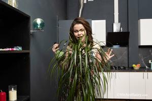 Original 3000 px/ 2001 px