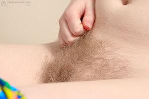 Original 1471 px/ 979 px