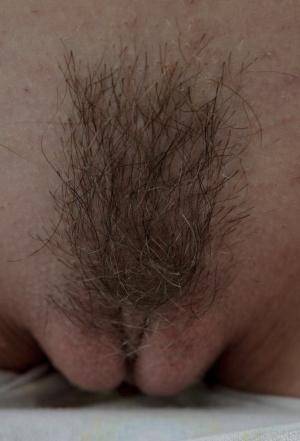 Original 679 px/ 999 px