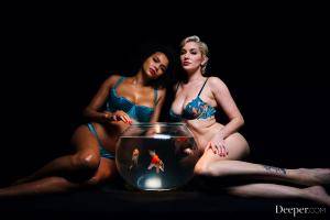 Original 2999 px/ 2000 px