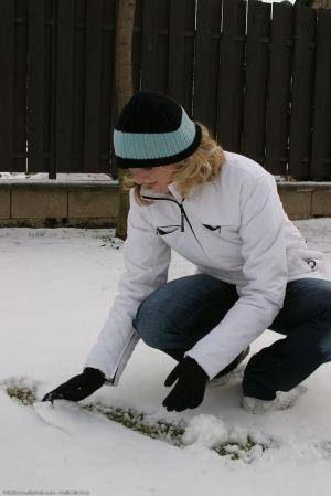 Original 854 px/ 1280 px