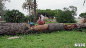 Mofos Martina Smeraldi - New Study Buddies (11062020) - 86x_65595082