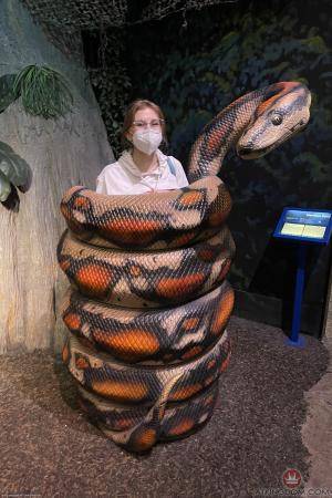 Original 2000 px/ 3000 px