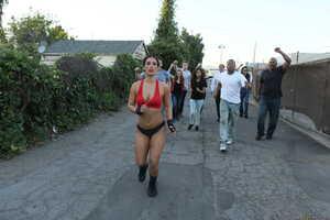 Original 2495 px/ 1663 px