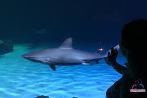 Original 3000 px/ 2000 px