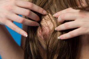 Original 5000 px/ 3333 px