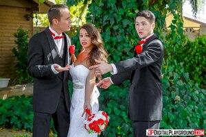 Original 1903 px/ 1269 px