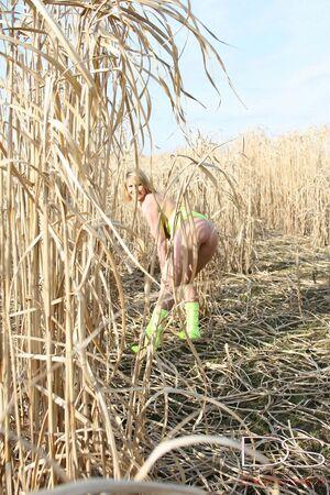 Original 1200 px/ 1800 px