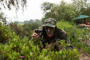 Original 2499 px/ 1663 px