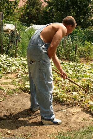 Original 1024 px/ 1536 px