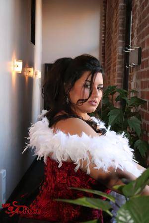 Original 2004 px/ 3000 px