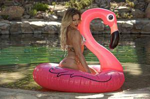 Original 2496 px/ 1663 px