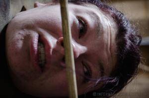 Original 1200 px/ 795 px