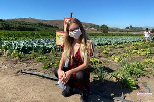 Original 3000 px/ 2000 px