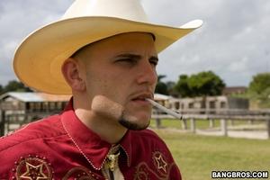 Original 800 px/ 533 px