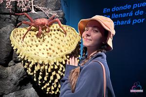 Original 3000 px/ 2000 px