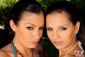 Original 2000 px/ 1331 px