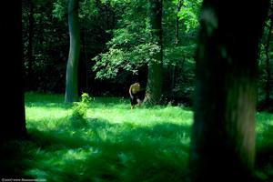 Original 1647 px/ 1098 px