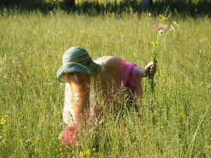 Original 2272 px/ 1704 px