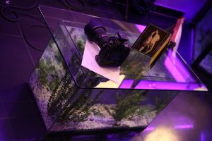 Original 5616 px/ 3744 px