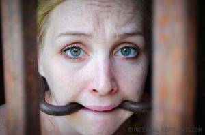 Original 1200 px/ 795 px