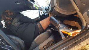 Original 1142 px/ 643 px