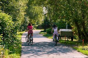 Original 6000 px/ 4000 px