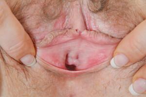 Original 1280 px/ 850 px