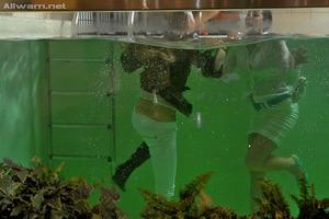 Original 1024 px/ 683 px