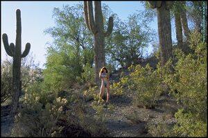 Original 800 px/ 530 px