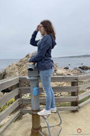 Original 2000 px/ 3000 px